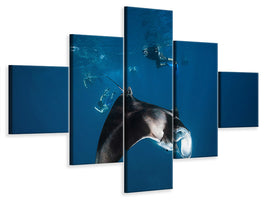 5-piece-canvas-print-manta-ray-ii