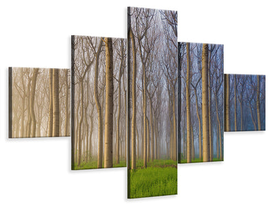 5-piece-canvas-print-morning-of-the-forest