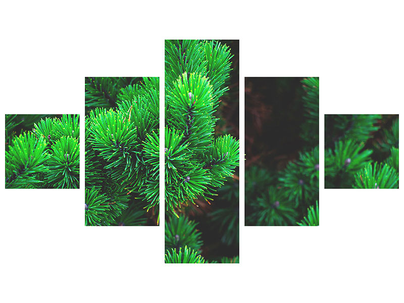 5-piece-canvas-print-pine-xl