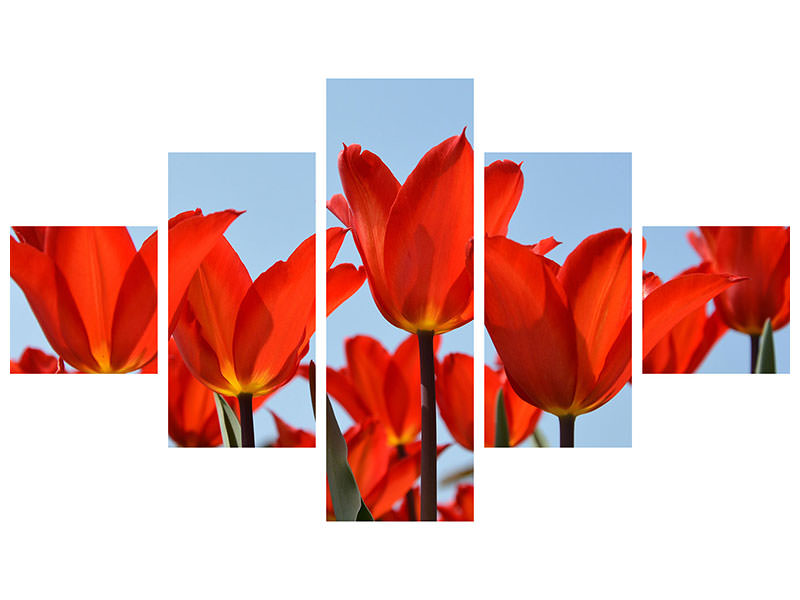 5-piece-canvas-print-red-tulips-xl