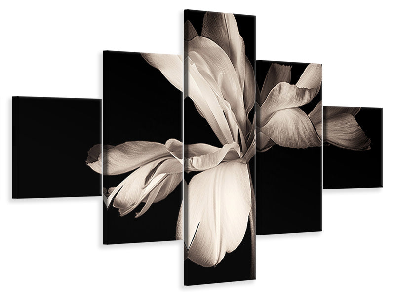 5-piece-canvas-print-simplicity