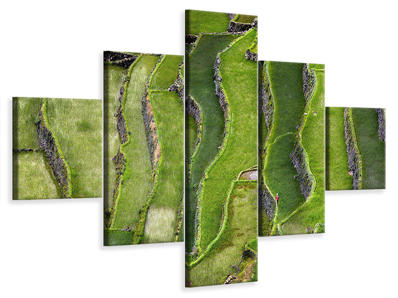 5-piece-canvas-print-terrace-walking