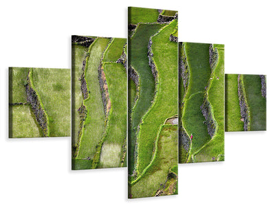 5-piece-canvas-print-terrace-walking