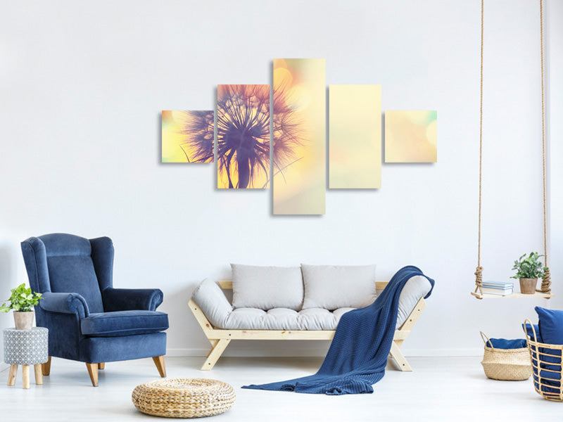 5-piece-canvas-print-the-dandelion-in-the-light