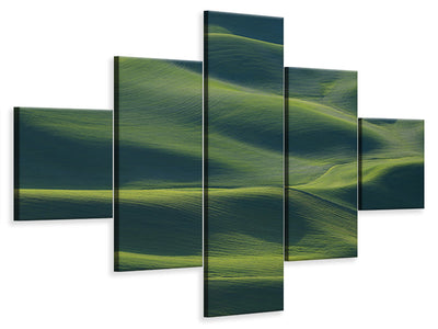 5-piece-canvas-print-the-earths-fine-skin