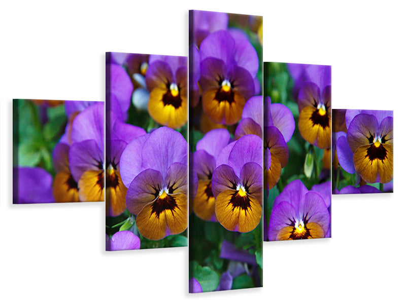 5-piece-canvas-print-the-pansies