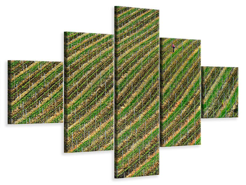5-piece-canvas-print-vineyard