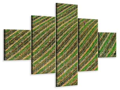 5-piece-canvas-print-vineyard