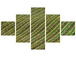 5-piece-canvas-print-vineyard