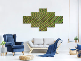 5-piece-canvas-print-vineyard