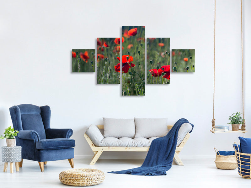 5-piece-canvas-print-wild-poppy