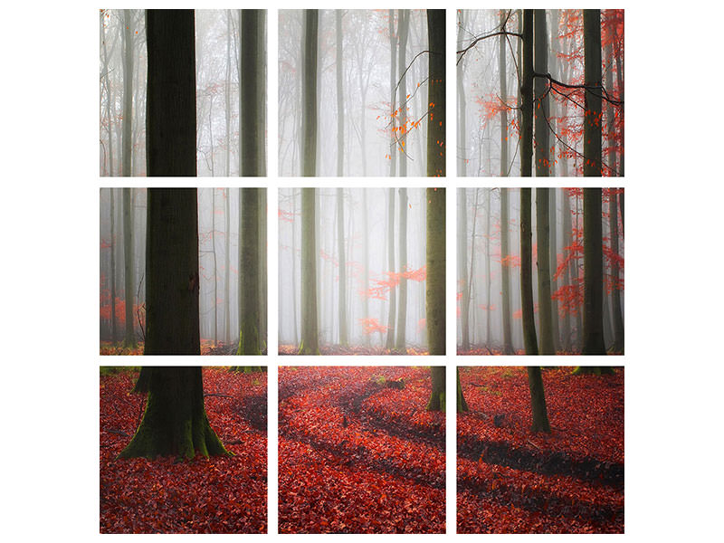 9-piece-canvas-print-autumnal-tracks