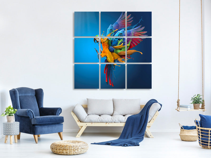 9-piece-canvas-print-flying-colours