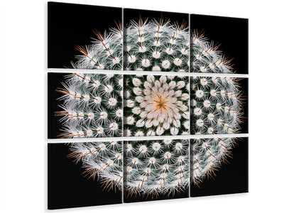 9-piece-canvas-print-notocactus-scopa