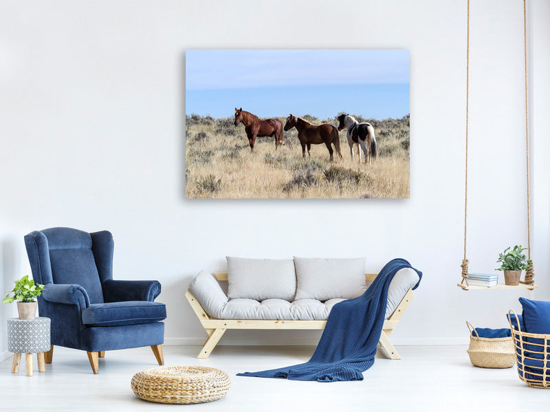 canvas-print-3-horses-in-nature