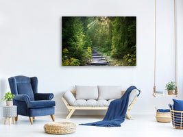 canvas-print-a-path-between-firs