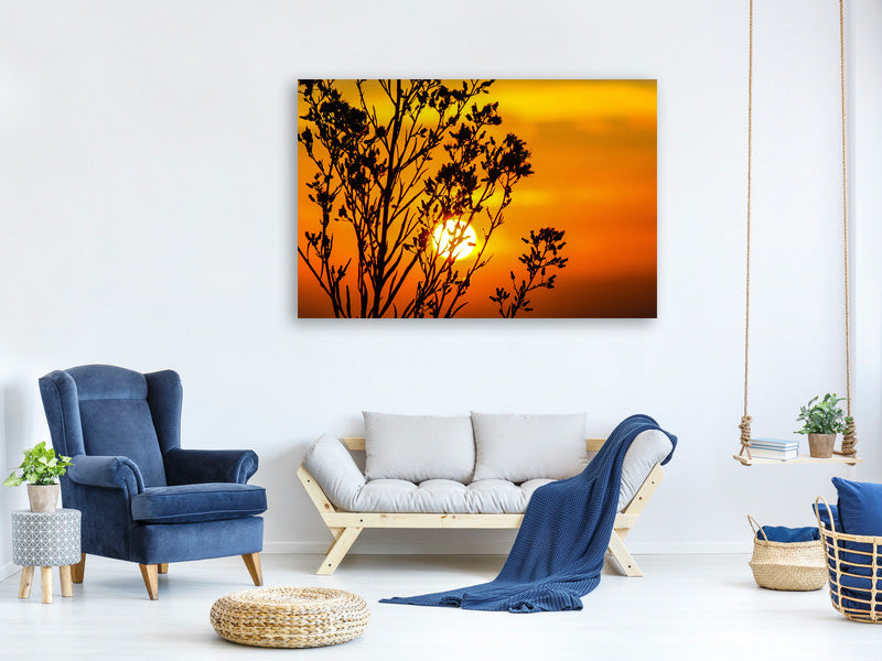 canvas-print-a-shrub-in-the-sunset