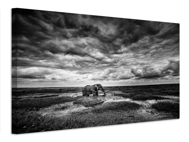 canvas-print-amboseli-x