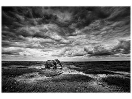 canvas-print-amboseli-x