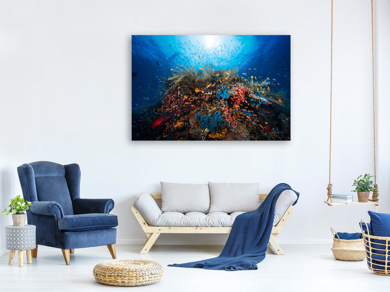 canvas-print-apnea