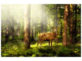 canvas-print-attention-deer