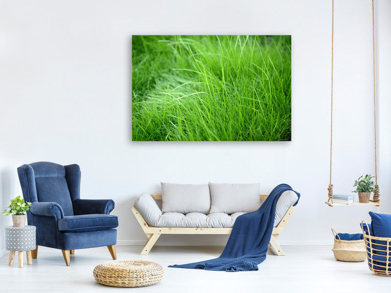 canvas-print-blades-of-grass