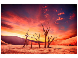 canvas-print-colorful-desert