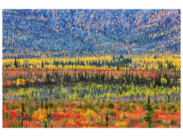 canvas-print-fall-color-in-the-mountain-x