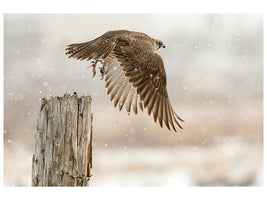 canvas-print-flight-against-the-snowstorm