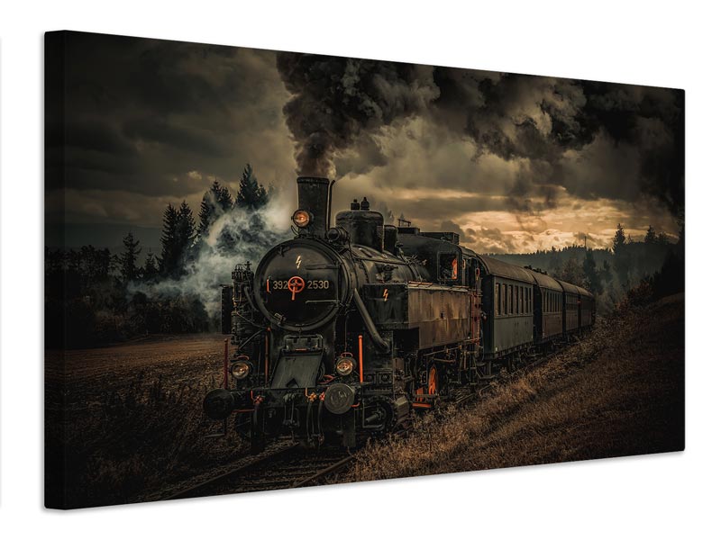 canvas-print-gold-digger-train-x