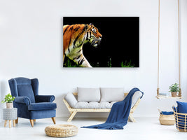 canvas-print-imposing-tiger