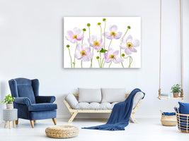 canvas-print-japanese-anemones