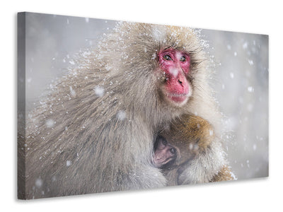 canvas-print-mothers-warmth