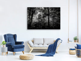canvas-print-primary-forest