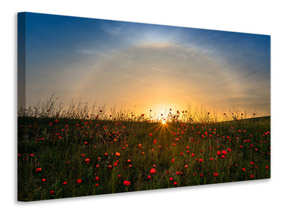 canvas-print-red-poppies-and-sunrise