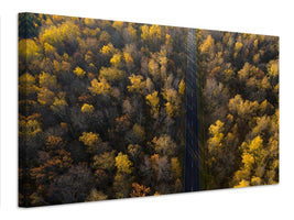 canvas-print-road-xmv