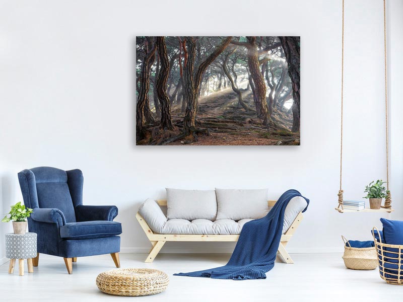 canvas-print-sacred-pine-forest-x