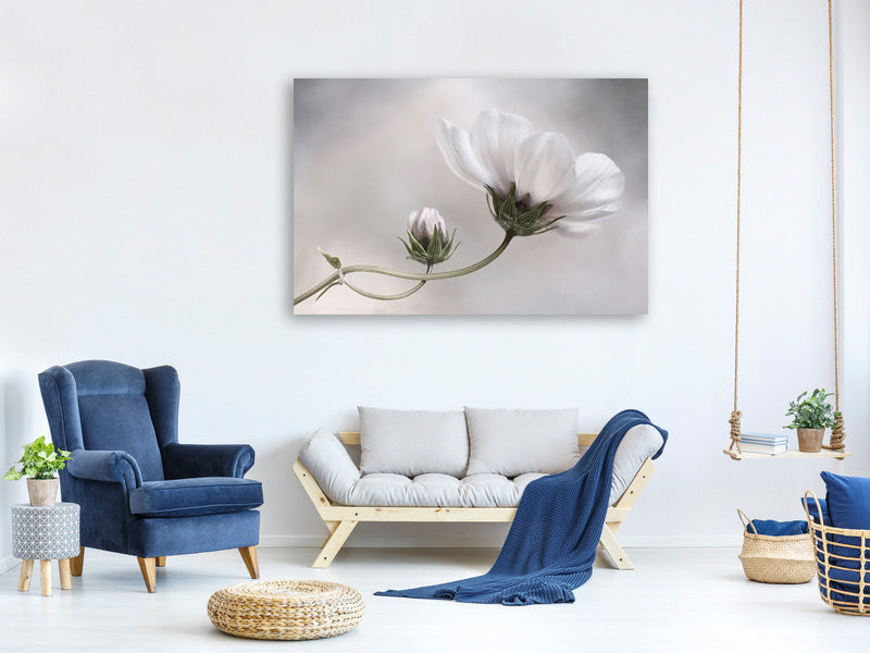 canvas-print-simply-cosmos