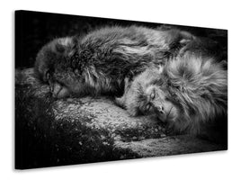 canvas-print-sleeping