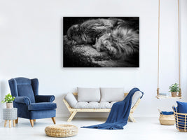 canvas-print-sleeping