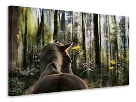 canvas-print-sound-are-forest
