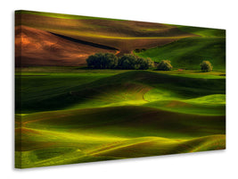 canvas-print-spring-in-the-palouse