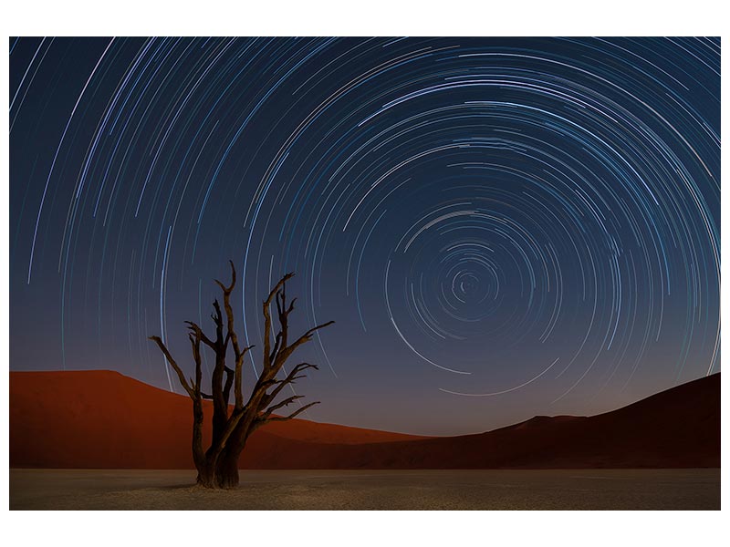 canvas-print-star-trails-of-namibia-x