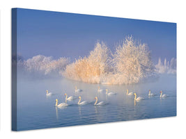 canvas-print-swan-lake-xge