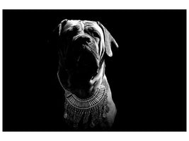 canvas-print-the-boerboel-sw