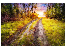 canvas-print-the-forest-path
