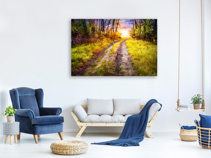 canvas-print-the-forest-path