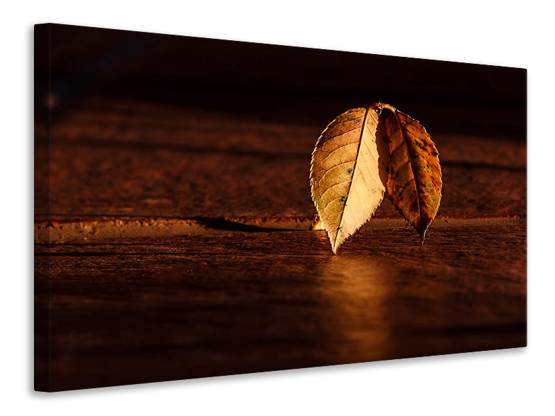 canvas-print-the-leaf