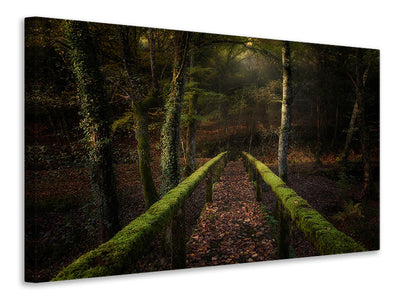 canvas-print-the-way-to-the-forest
