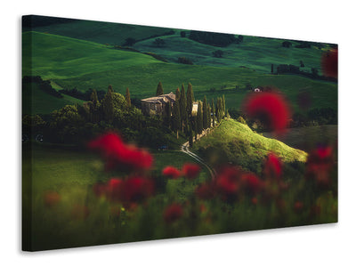 canvas-print-tuscany-spring-blossoms